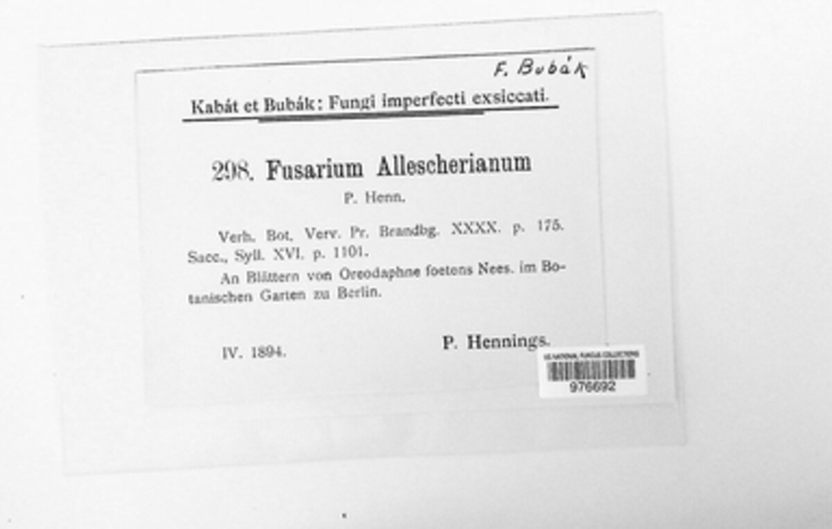 Fusarium allescherianum image